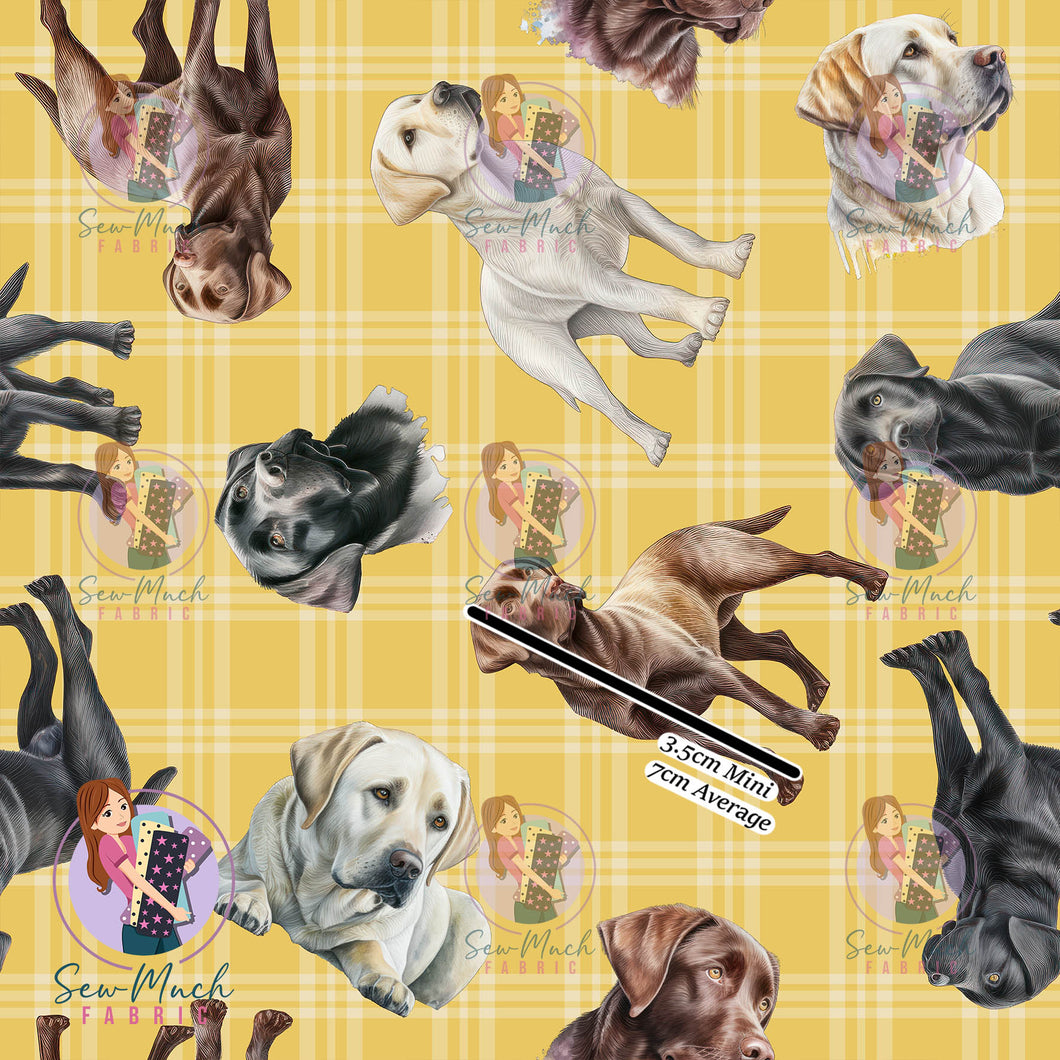 Labrador Plaid | Woven | Retail | Average Scale