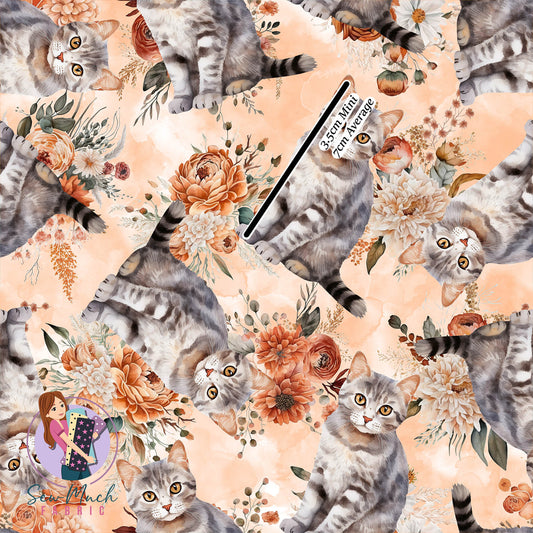 Australian Mist Cat | Woven | Retail | Average Scale