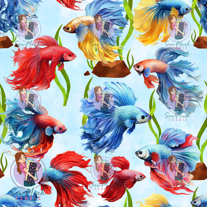 SEPTEMBER Pre-Order (1): Betta Fish