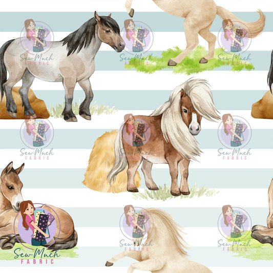 Unlimited Pre-Order: Pony Blue Stripes