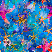 Load image into Gallery viewer, Starfish | Knit | Retail | Average Scale
