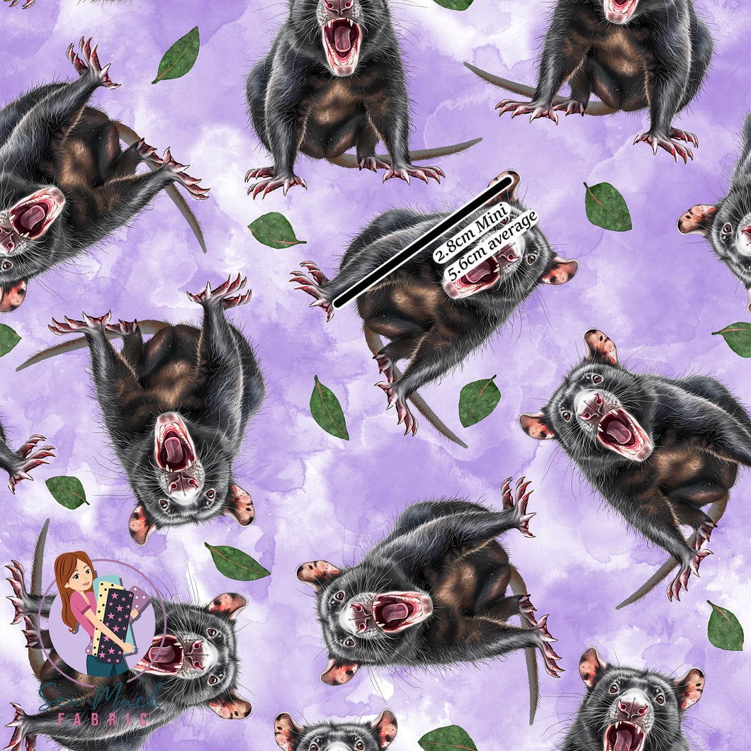Tasmanian Devil | Canvas | Retail | Average Scale