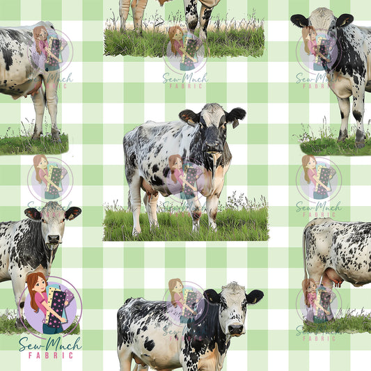 Unlimited Pre-Order: Speckle Park Cow