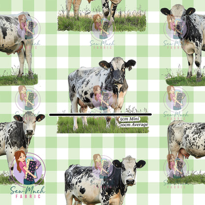 Unlimited Pre-Order: Speckle Park Cow