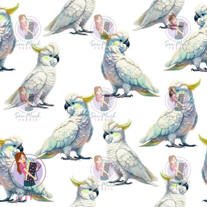 OCTOBER Pre-Order (1): Cockatoo