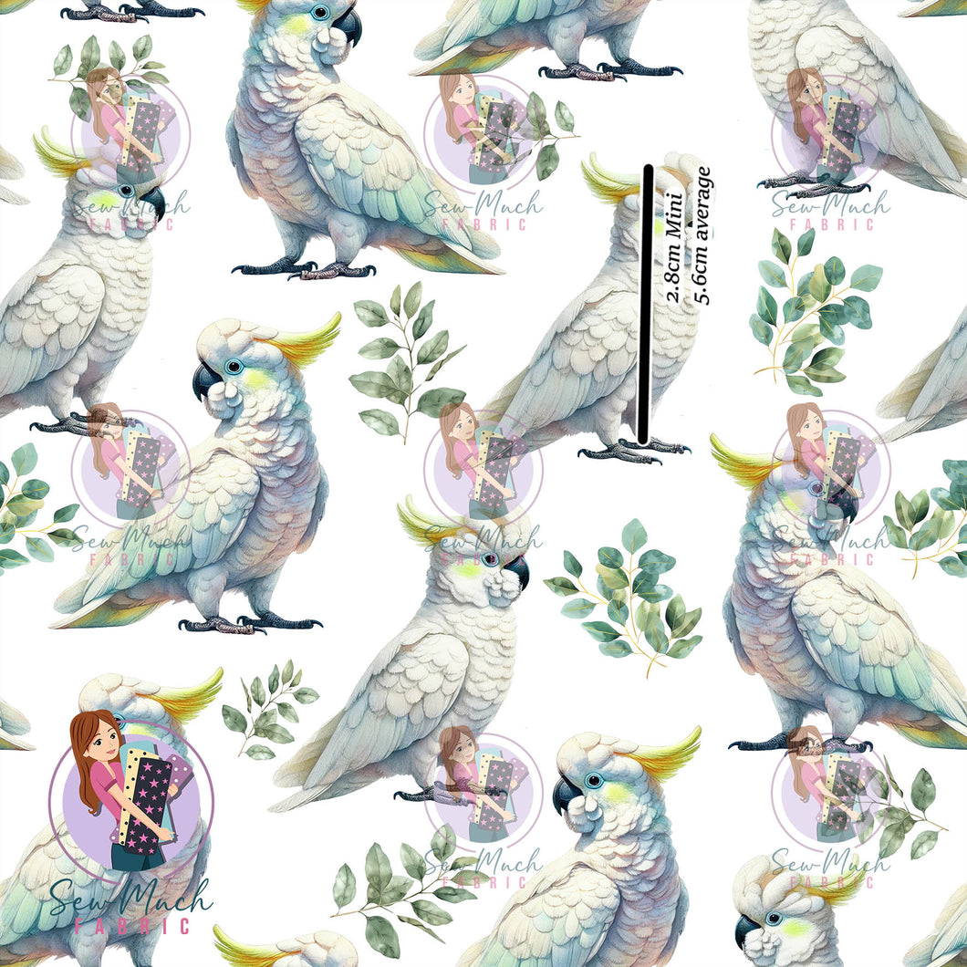 Cockatoo | MINKY | Retail | Average Scale