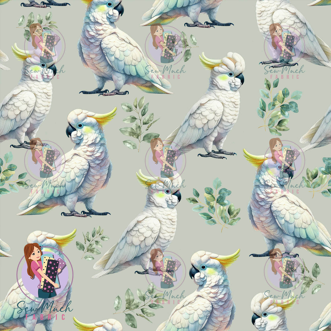 OCTOBER Pre-Order (1): Cockatoo Leaf Sage