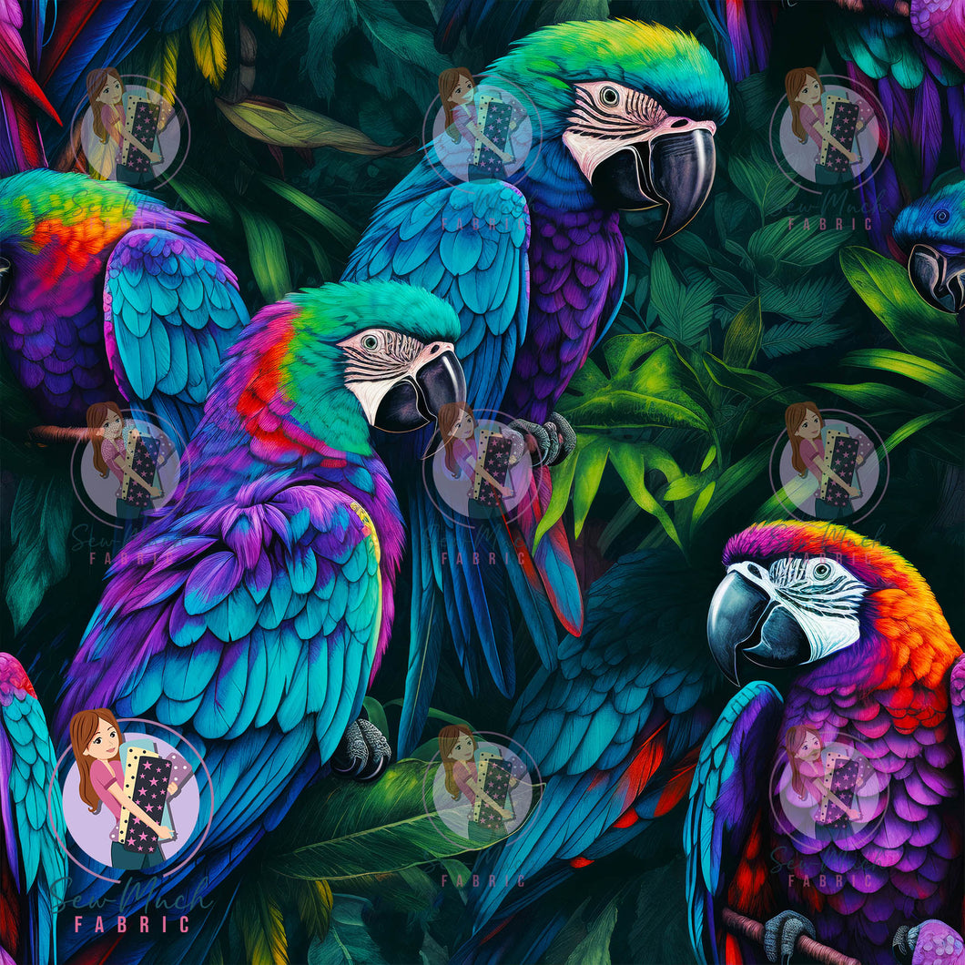 OCTOBER Pre-Order (1): Macaw