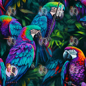 OCTOBER Pre-Order (1): Macaw