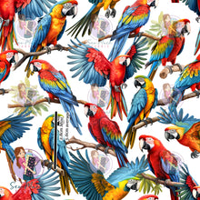 Load image into Gallery viewer, OCTOBER Pre-Order (1): Macaws
