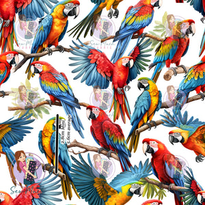 OCTOBER Pre-Order (1): Macaws