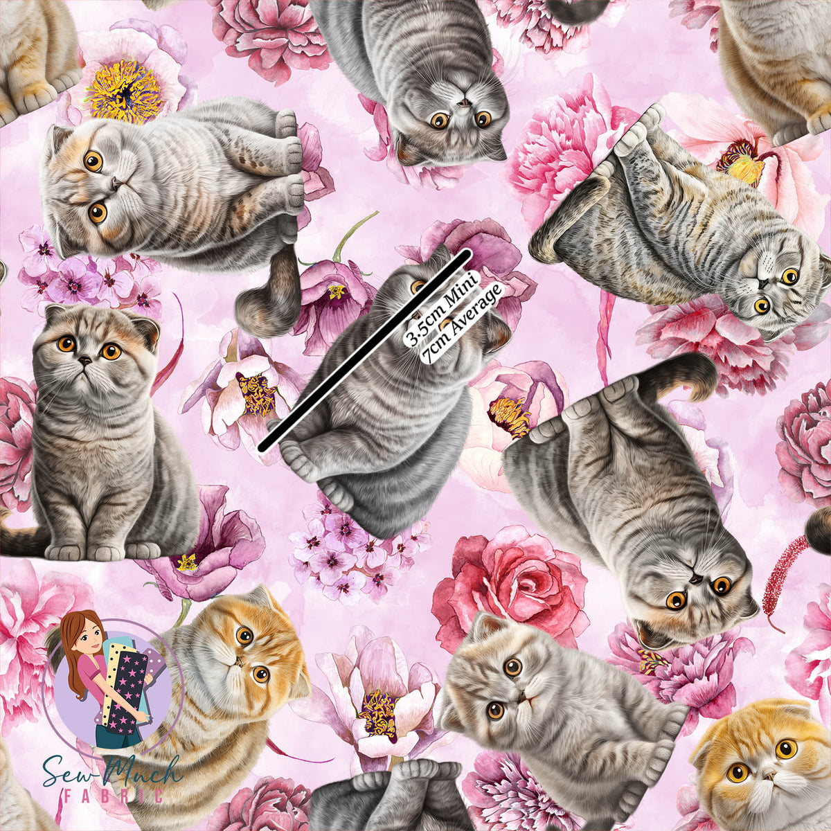 Scottish Fold Floral Cat | Canvas | Retail | MINI Scale