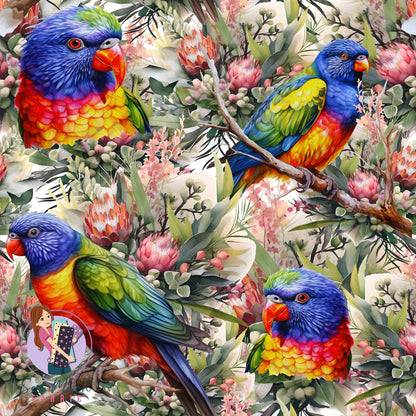 Unlimited Pre-Order: Rainbow Lorikeet