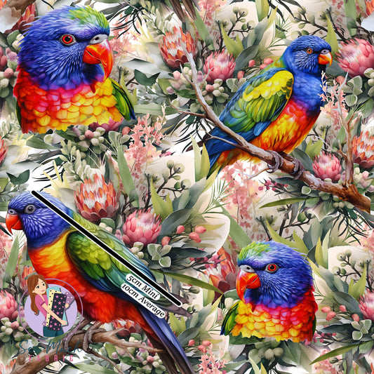 Rainbow Lorikeet | Canvas | Retail | Average Scale