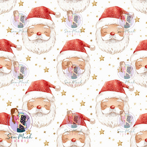 CHRISTMAS Pre-Order: Enchanted Santa