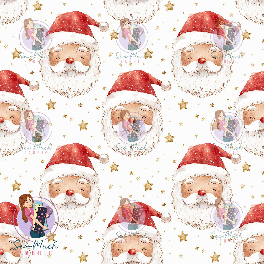 CHRISTMAS Pre-Order: Enchanted Santa