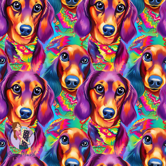 Unlimited Pre-Order: Colourful Dachshund