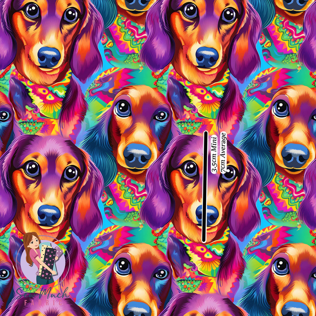 Dachshunds Colourful | Canvas | Retail | Average Scale