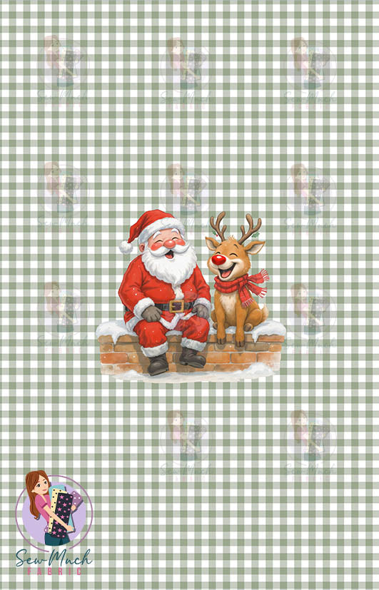 CHRISTMAS Pre-Order: Fun Times Gingham PANEL