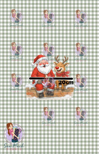 CHRISTMAS Pre-Order: Fun Times Gingham PANEL