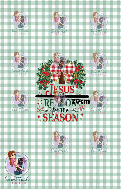 CHRISTMAS Pre-Order: Reason for the Season PANEL