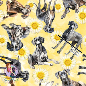 Great Dane Floral - WOF x 45cm | Canvas | Retail | Average scale