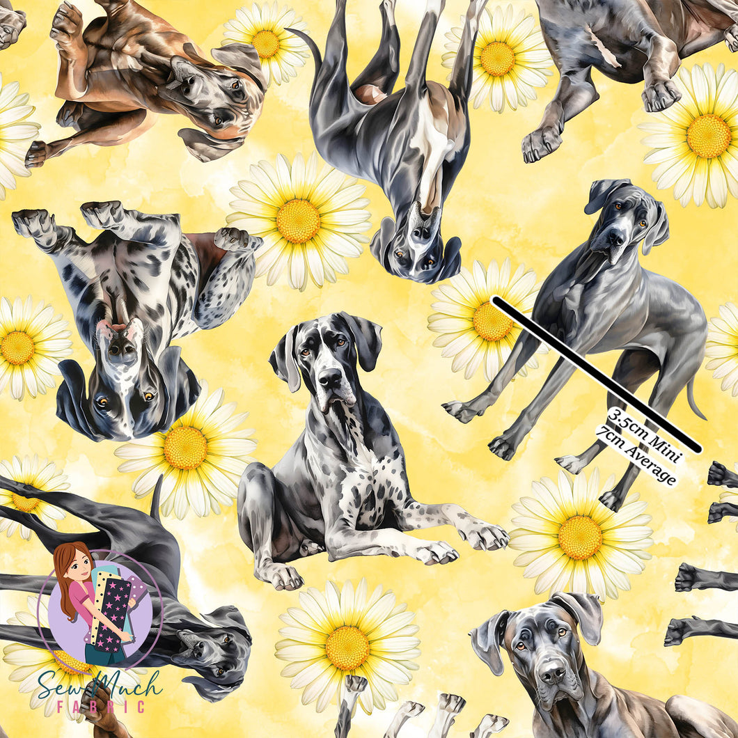 Great Dane Floral - WOF x 45cm | Canvas | Retail | Average scale