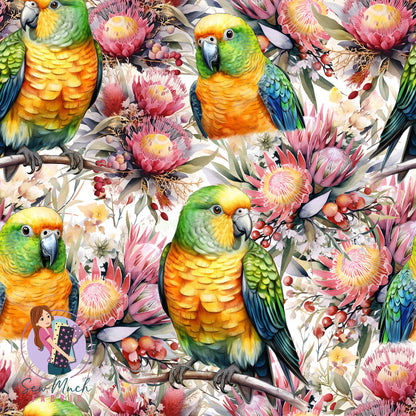 Unlimited Pre-Order: Orange Belly Parrot