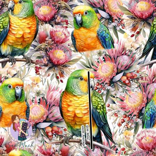 Orange Belly Parrot | Canvas | Retail | Average Scale