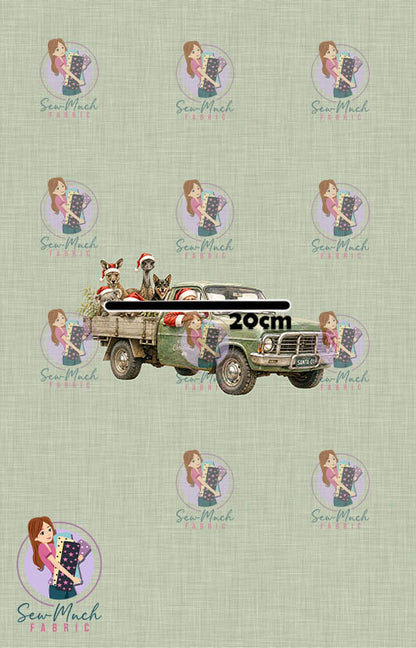 CHRISTMAS Pre-Order: Santa's Outback Delivery Green PANEL