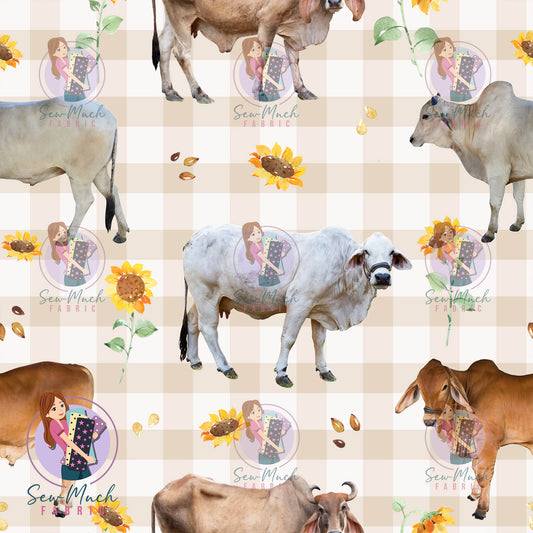 Unlimited Pre-Order: Brahman Gingham Sunflower