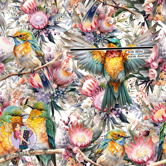 Merops Ornatus | Canvas | Retail | Average Scale