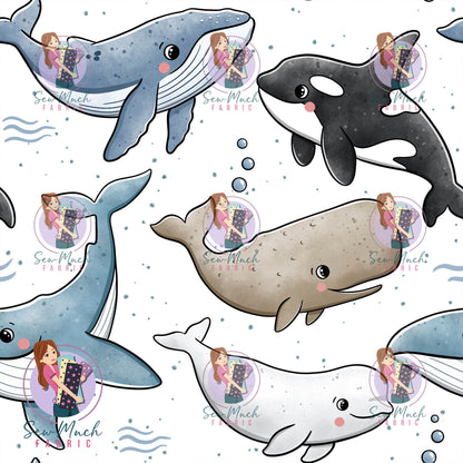 OCTOBER Pre-Order (2): Whales