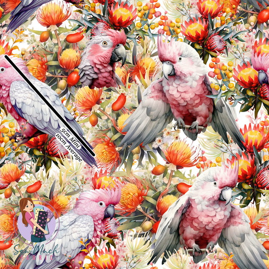 Galah | Canvas | Retail | Average Scale