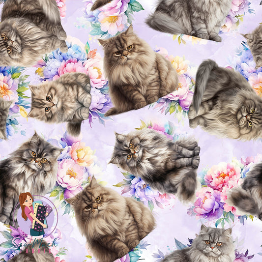 British longhair FLORAL | Pre-Order |