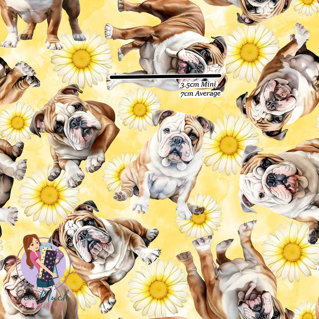 Bulldog Floral | 45cm x WOF| Canvas | Retail | Average Scale