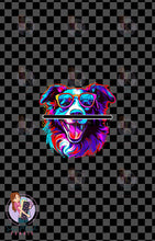 Load image into Gallery viewer, SEPTEMBER Pre-Order (2): Border Collie | PANEL |

