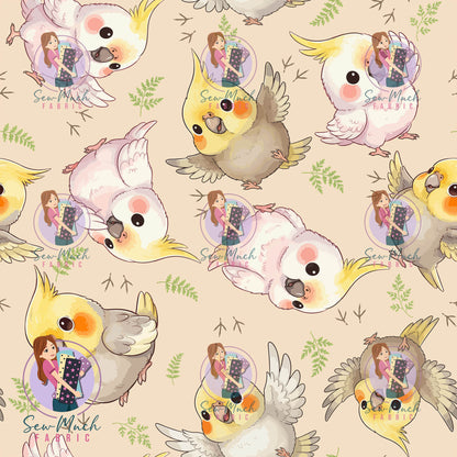AUGUST Pre-Order (1): Cockatiel Beige