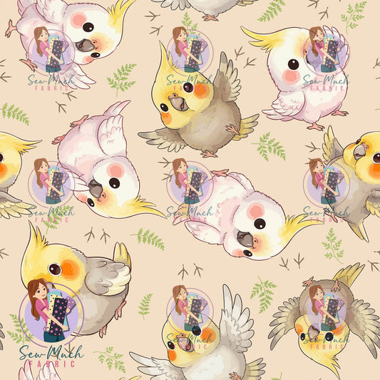 AUGUST Pre-Order (1): Cockatiel Beige