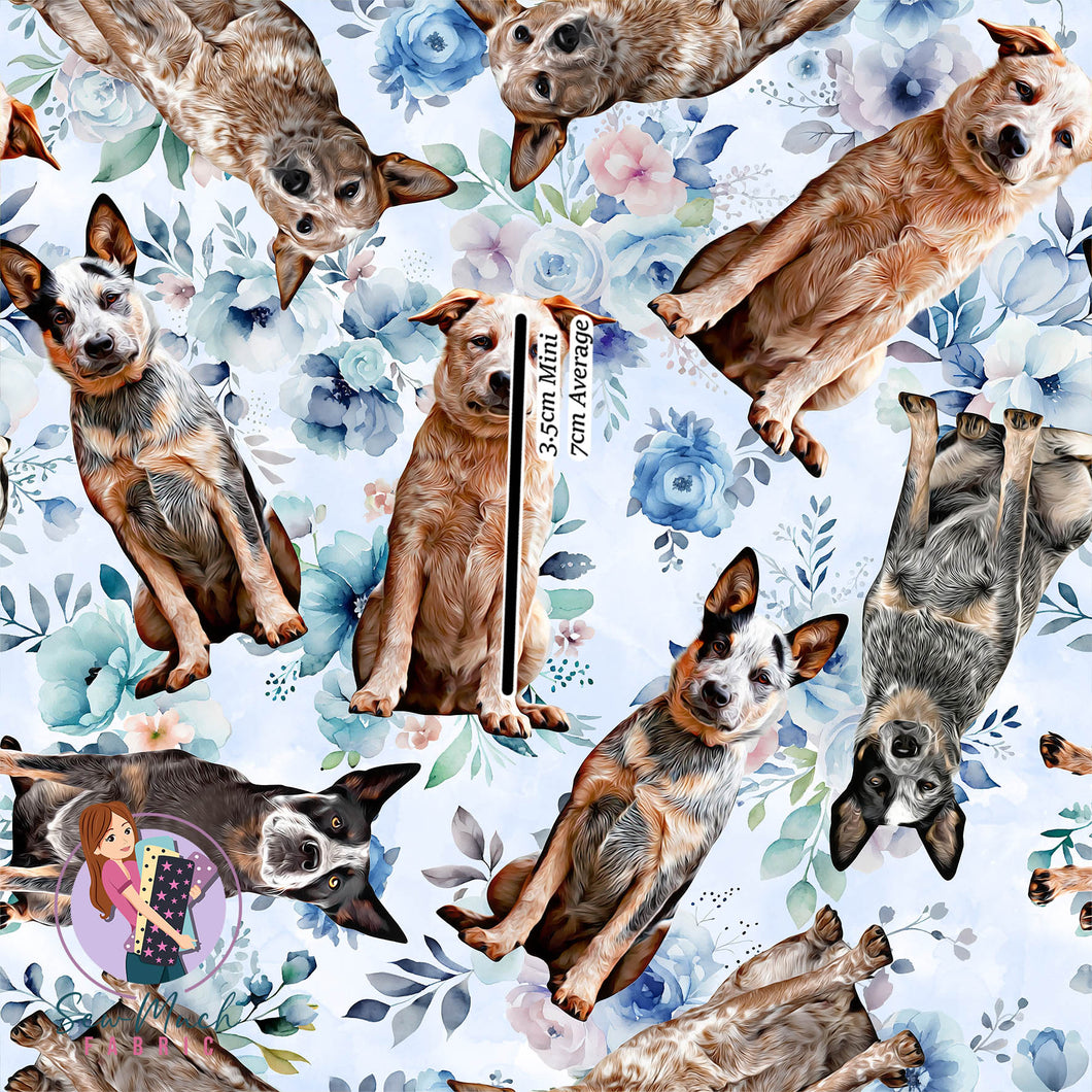 Cattle Dog Floral | 45cm x WOF| Canvas | Retail | MINI Scale