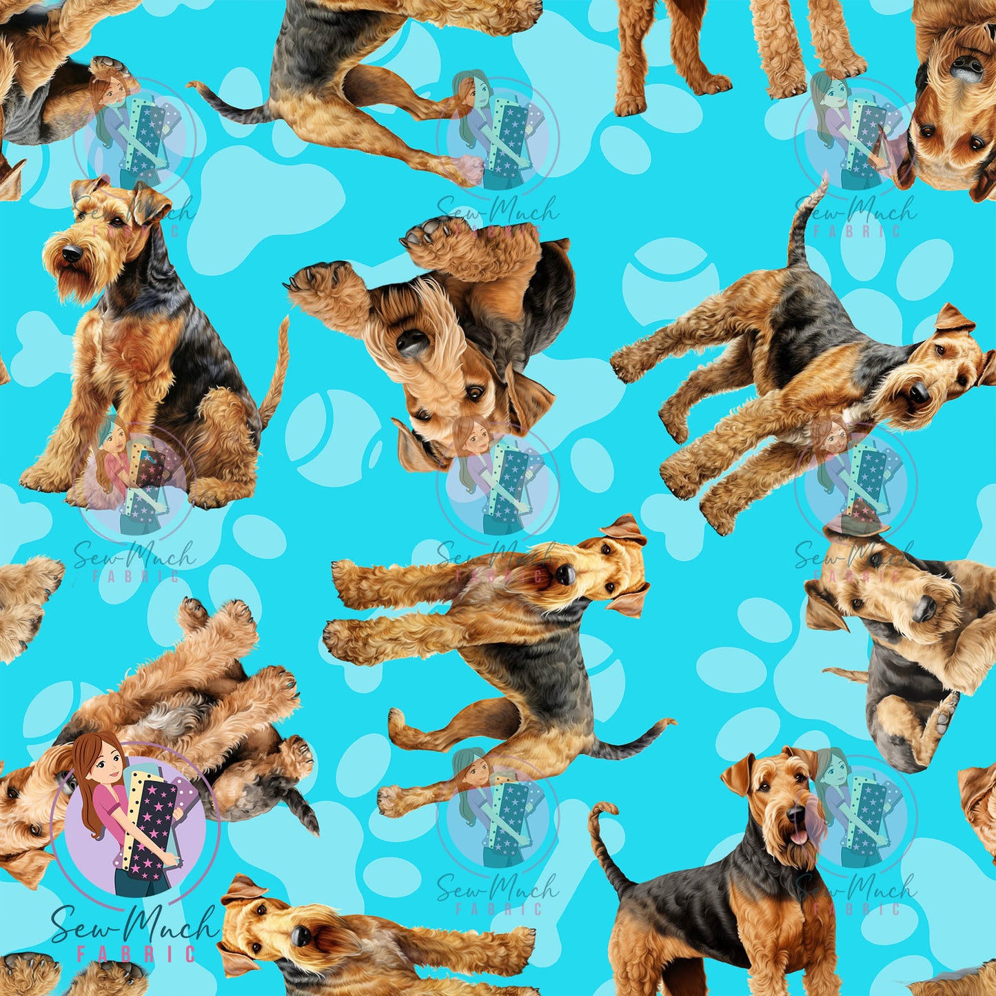 Airedale Terrier 1 | Pre-Order |