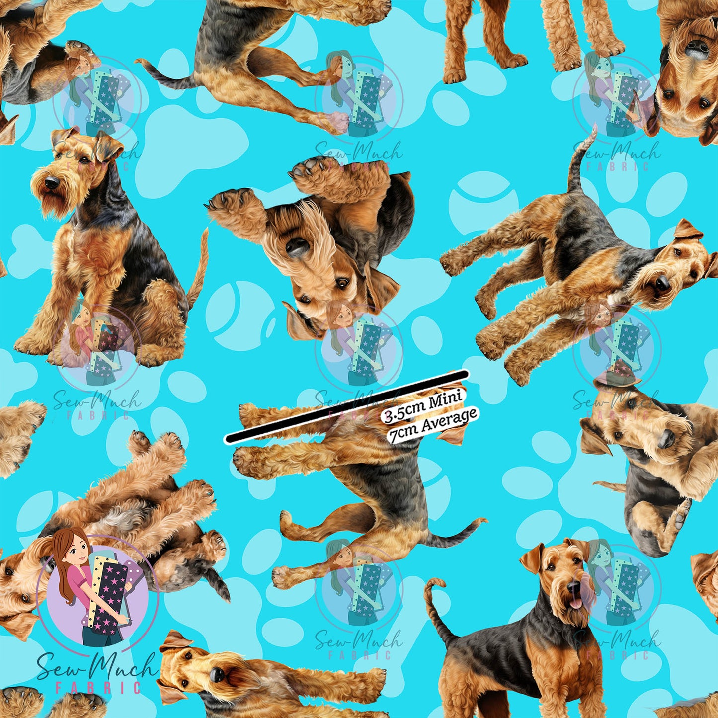 Airedale Terrier 1 | Pre-Order |