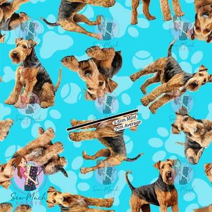 Airedale Terrier 1 | Pre-Order |