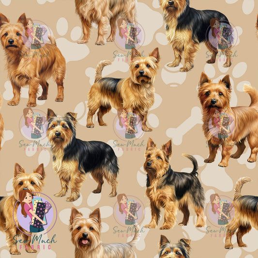 Australian Terrier | Pre-Order |