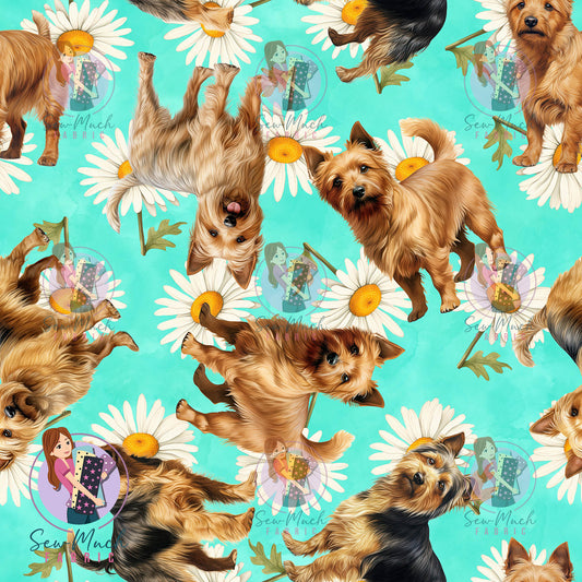 Australian Terrier 2 | Pre-Order |