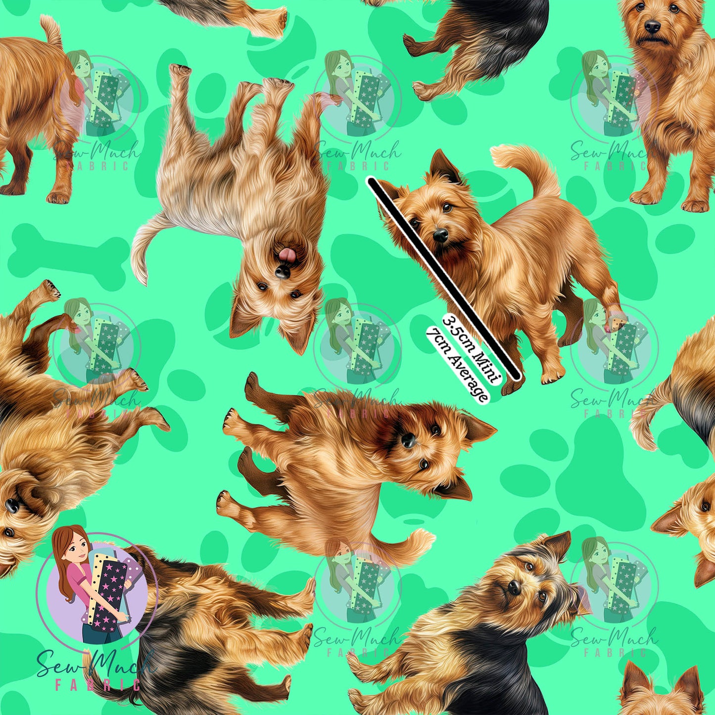 Australian Terrier 1 | Pre-Order |