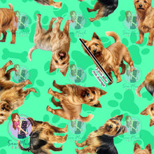 Load image into Gallery viewer, Australian Terrier 1 | Pre-Order |
