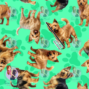 Australian Terrier 1 | Pre-Order |