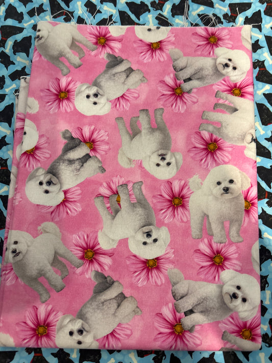 REMNANT: CANVAS Bichon