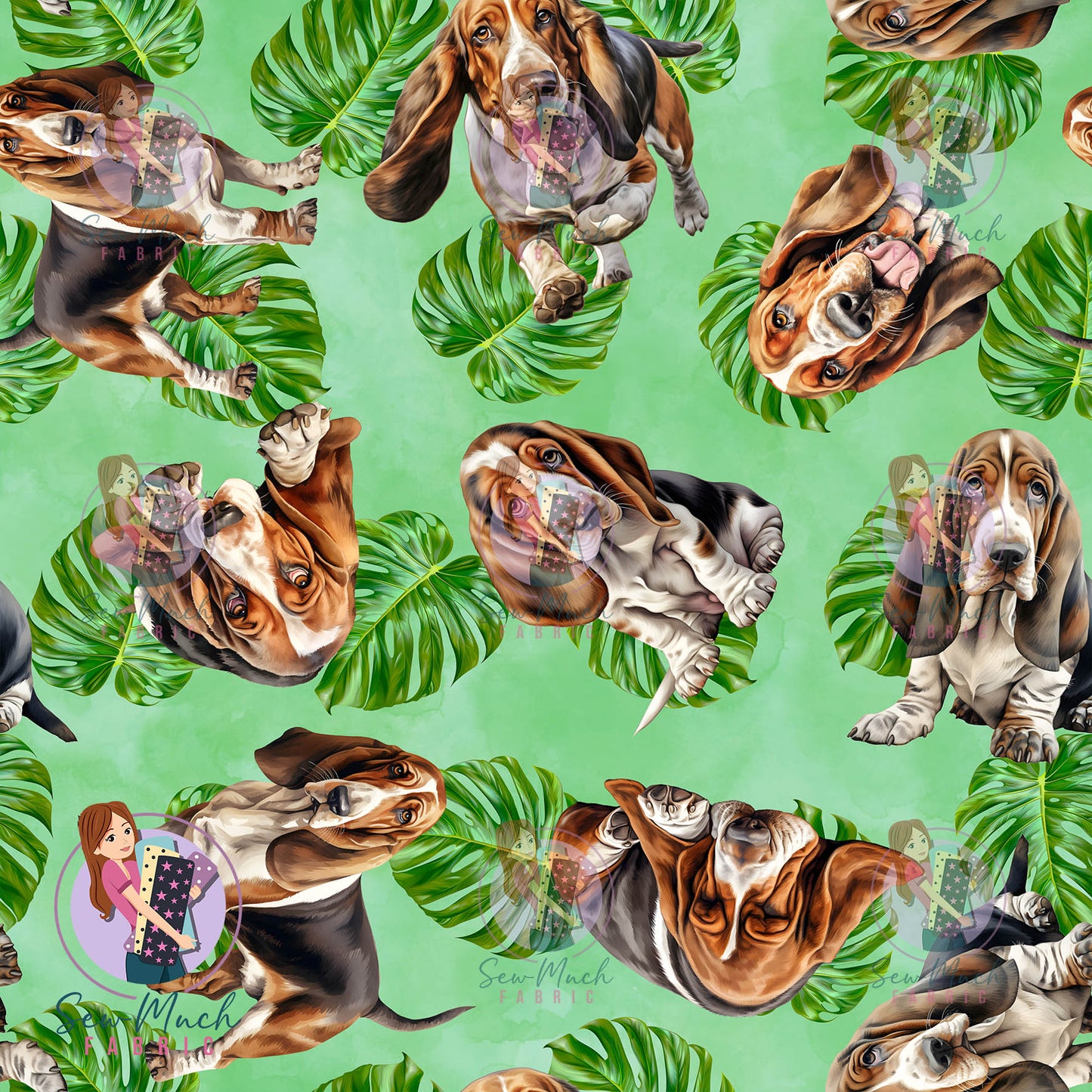 Basset Hound 2 | Pre-Order |